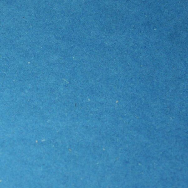 CG23000021 BLEU.600.jpg